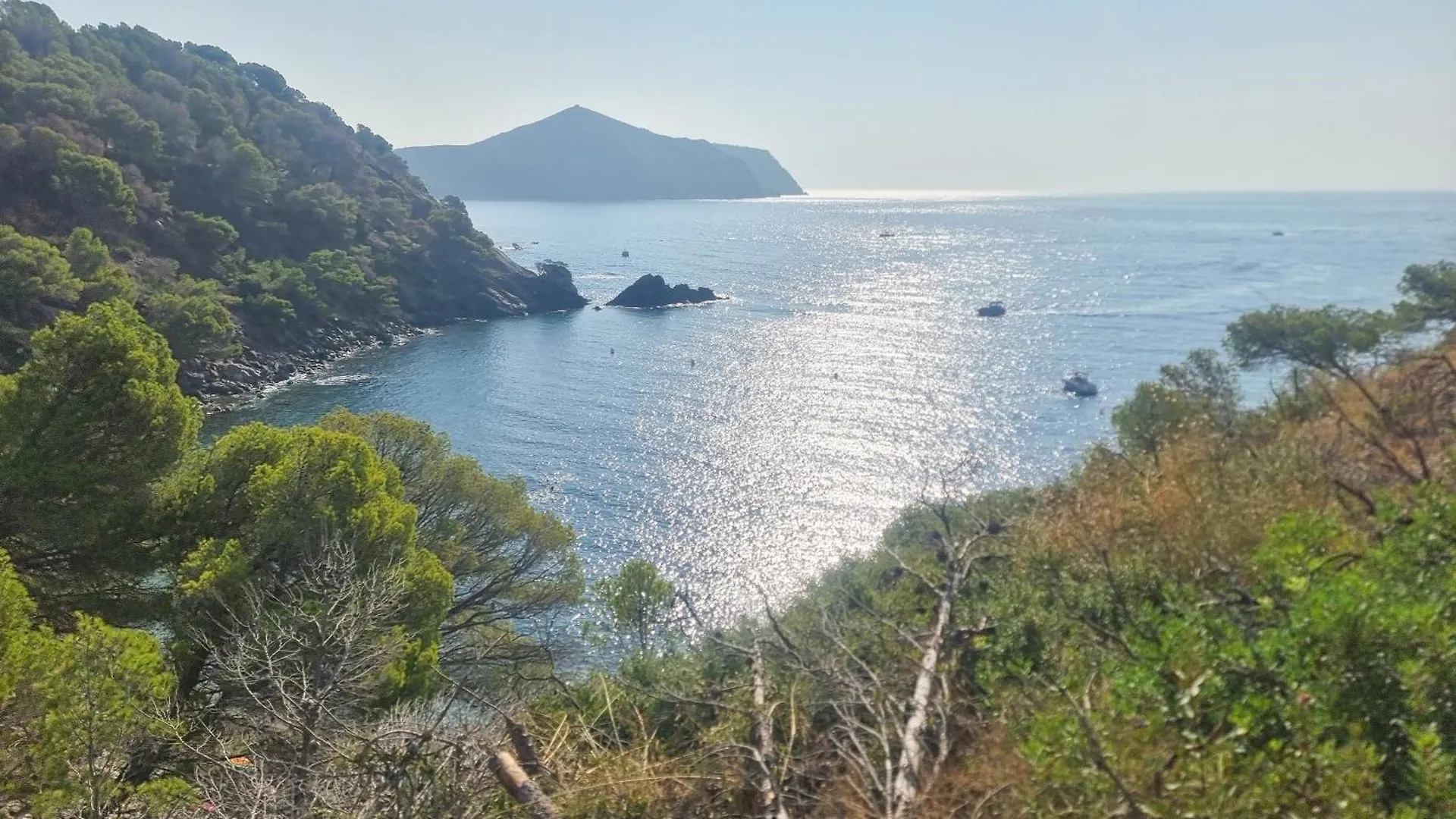 Villa Cozy House With Sea Views, Terrace And Swimming Pool Roses Spagna